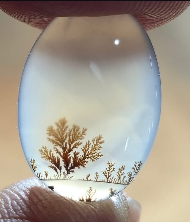 منظره ردیفی قاین