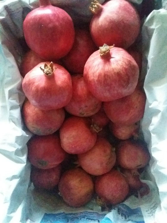 به به 