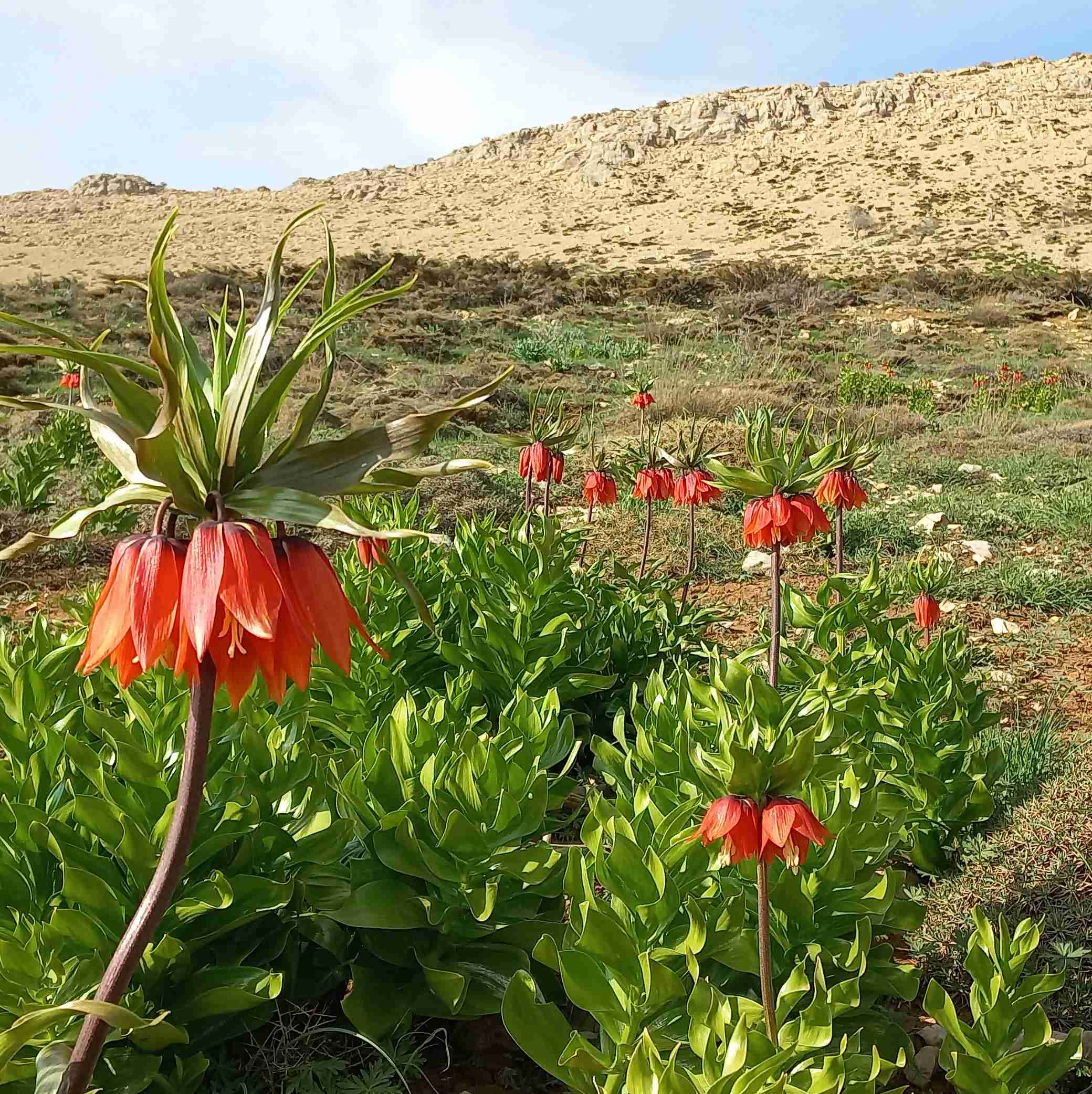 زیبایی طبیعت
