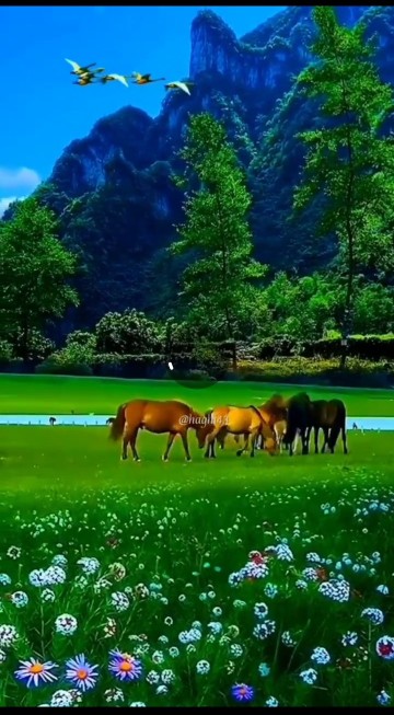 نووش نگاه دوستانم⚘⚘⚘🦋🦋🦋