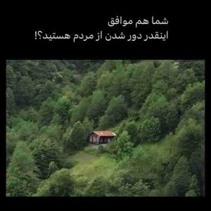 تنهایی
