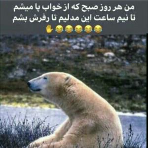 خارجیا بچه هاشونو با بوس بیدارمیکنن😂 مامان منم