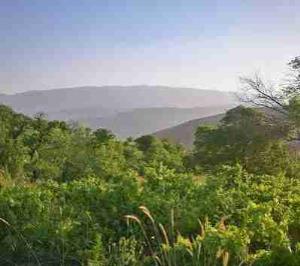روستای چوبین ما درسال های اخیر