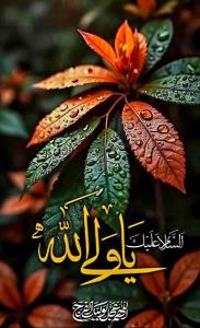 یارب العالمین🩵سلام خوبان صبحتون بخیر🩵بسم‌رب‌المهدی💚
     