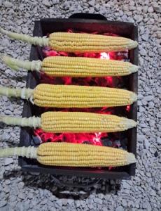 🌽🌽🌽