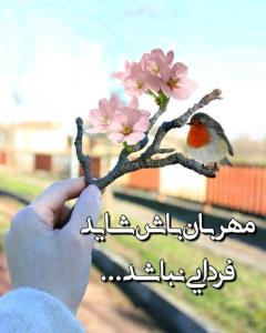 از محبت خارها گل میشود 🍀🍀🍀