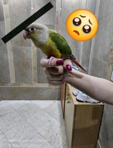 ناخن های شرمن😉😉🫴