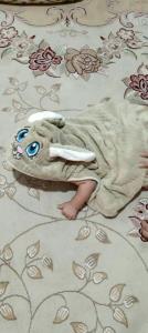 این خرگوش امروز پیداش کردم 🐰🐰