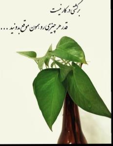 سلام‌شبتون بخیر غرق ارامش الهی.آرزو‌ها
پیله‌هایی در دل هستند