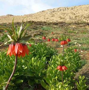 زیبایی طبیعت