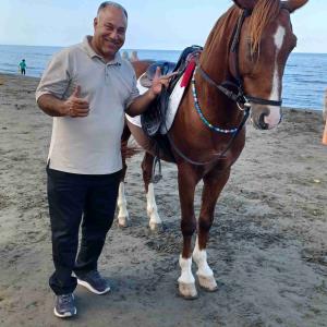 سواحل گیسورشت۲۴مهر1404