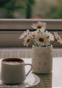 سلام زندگی عصرت قشنگ🕊♥️🌹🤞