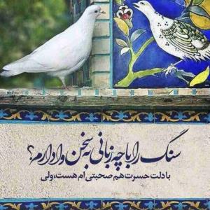 سنگ را با چه زبانی...