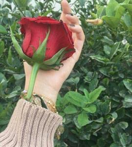 صبح ، امید ، زندگی 