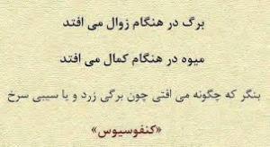 سخن بزرگان