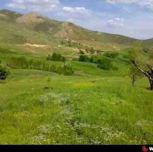 روستای چوبین ما. در سال های اخیر 