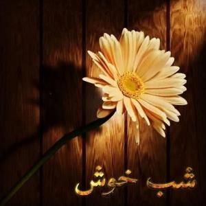 شب خوش خوشگلا 🌹 کپشن لطفاً 👇
