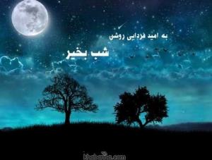 شبت قشنگ زندگی درپناه خداوبخیر🕊💫♥️🌸🌸🌸💫💫💯