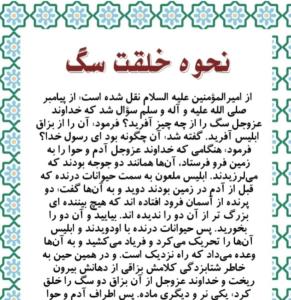جل الخالق💫