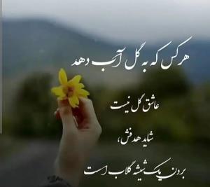 ۰۰۰۰۶