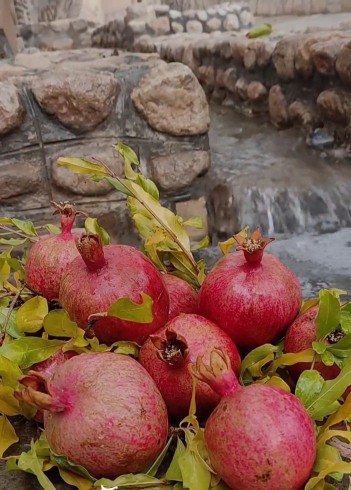 حال دلتون خش❤