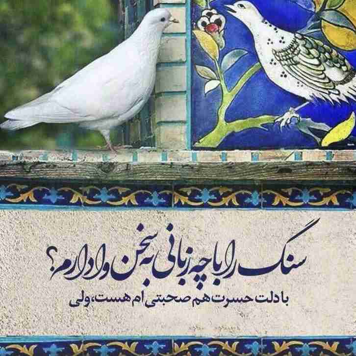 سنگ را با چه زبانی...