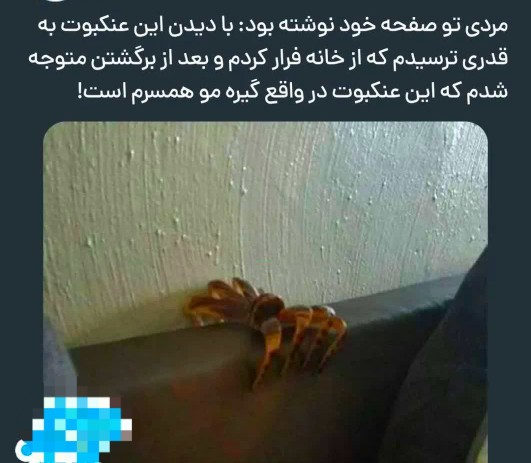 😂😂😂
