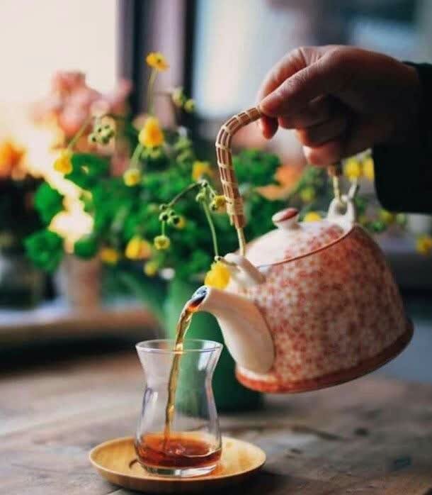 زندگی 