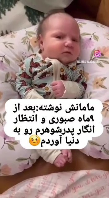 😂😂😂😂
