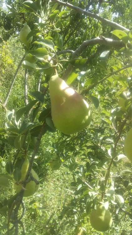 امروز 