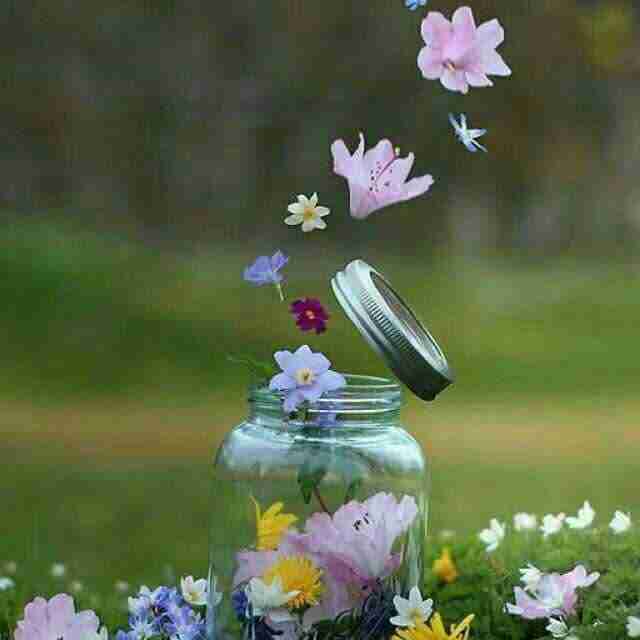 🍃🌸هیچ گلی به فکر رقابت 
باگلهای دیگر نیست
فقط شکفته می شود ...🌸🍃
✨در پیمودن راه؛
بر دستاوردهای دیگران تمرکز نکنید،
به مقصد و راه خود بیندیشید!✨
┄┅┅┅🌺🍃🌸┅┅┅┄
┄┅┅┅🌸🍃🌺┅┅┅┄