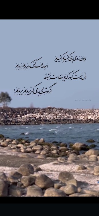 سلام صبح همگی به خیر🥱🥱