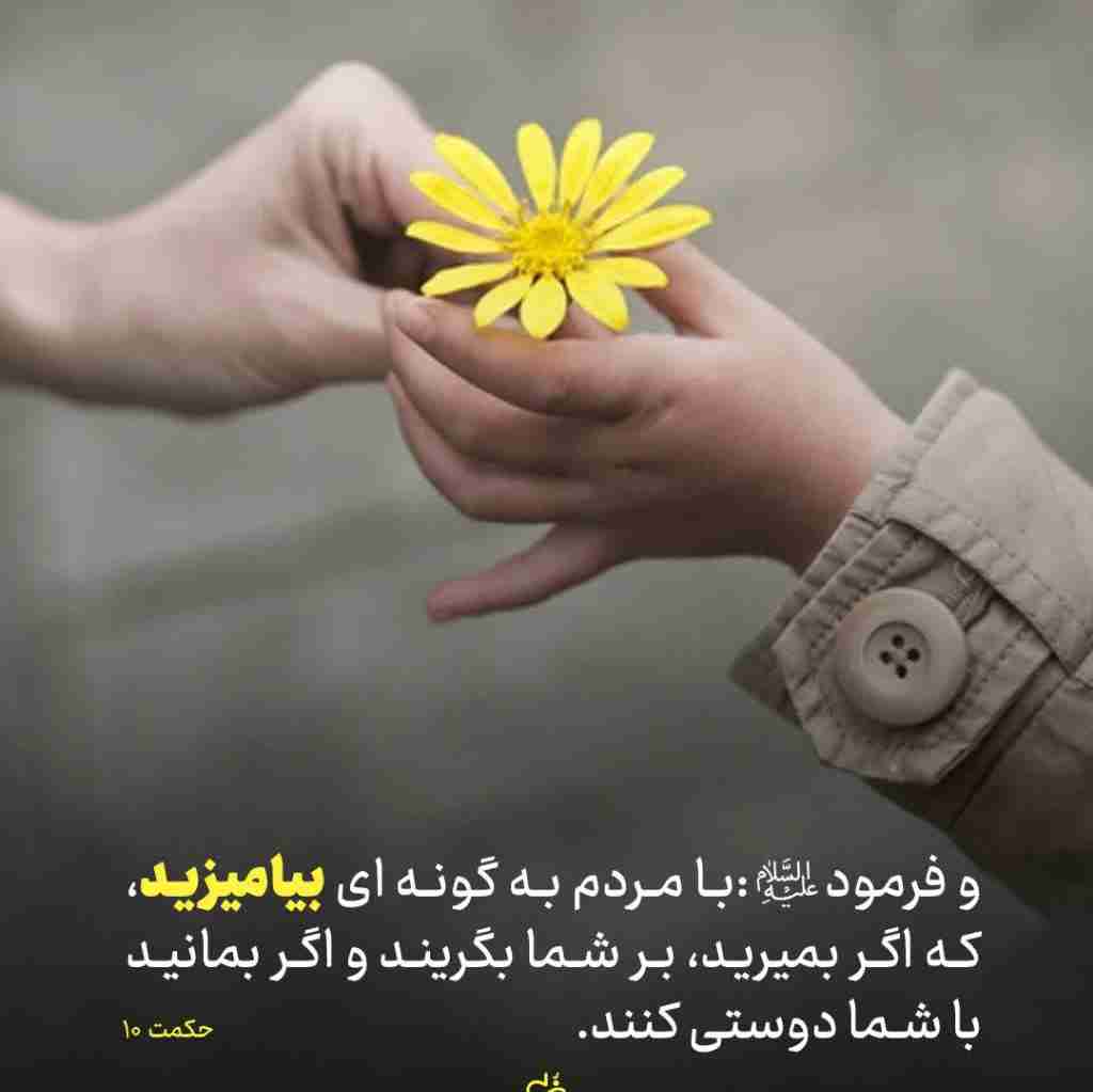 حکمت 10نهج البلاغه