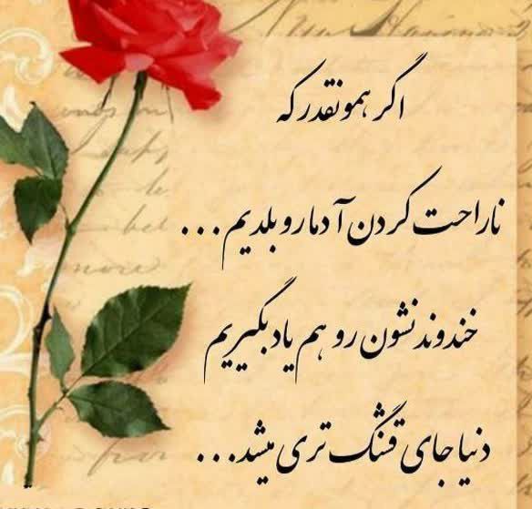 ظهرتون بخیر🪴