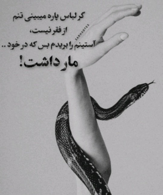 مهران لر....🙄🤔👈👌👌👌
