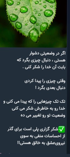 خدا را شکرت برای داده و نداده ات 💚❤️💚💚