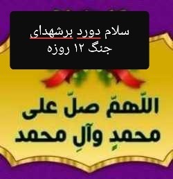 🌷🌷🌷🌷