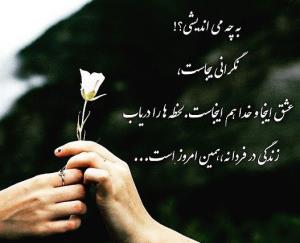به چه می اندیشی.. 