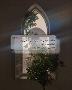(No comment)