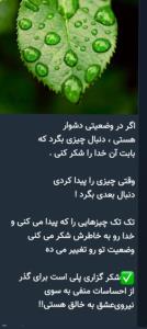 🙏🙏🙏💚💚💚