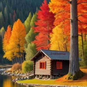 صبح بِ‌خیر.♥️

زندڪَے حڪمتِ اوست
   چند برڪَے را تو ورق خواهے زد
      مابقے را قسمت
            قسمت‌اَت شادی باد...
‌‌‌‌‌‌‌‌‌‌
🍂🍂
      ‌‌‌