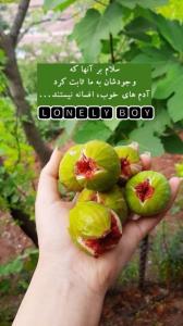 🍁آخرین یکشنبه مهرماهتون عالی