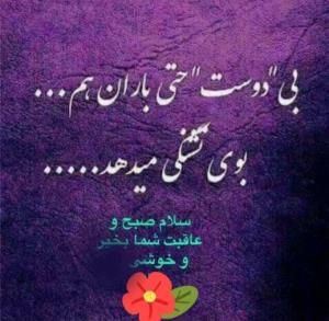 شرح درکلامشه