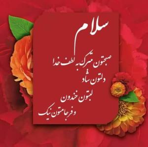 صبح دوستانم بشادی و زیبایی ⚘🦋⚘🦋⚘🦋