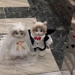 عروس دوماد آینده نه چندان دور عروس روببینید مرضیه وآقاشون😻