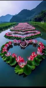 روز دوستانم خوش وعالی 🦋⚘🦋⚘🦋⚘