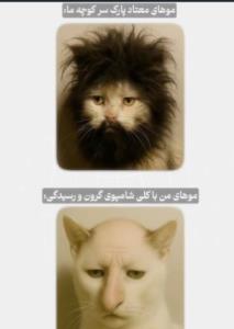 والا بخداا  😄😄😄😄😄اصلا شامپو نزنین 😄😄ببینم چطور میشین