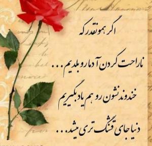 ظهرتون بخیر🪴