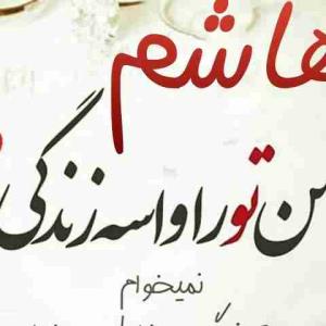 هاشم همسرم دیوانه وار دوست دارم