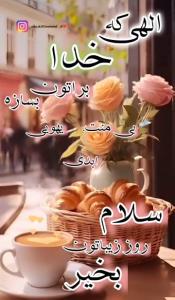 سلام دوستان گلم ظهرتون بخیر بهترین هارابرایتان آرزومیکنم ✋️